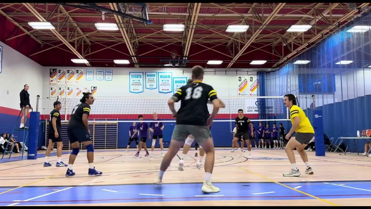 Robin Schmit Highlights Montréal #volleyball