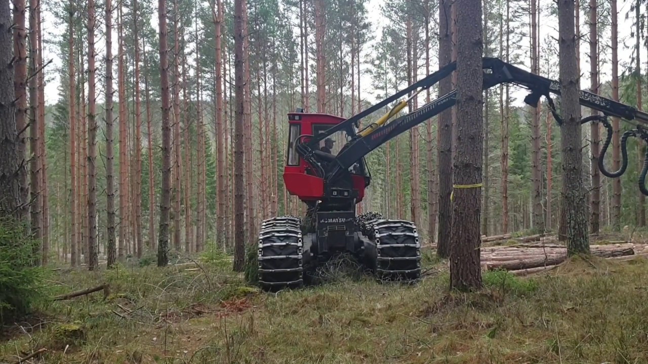 Komatsu 931.1 in last thinning