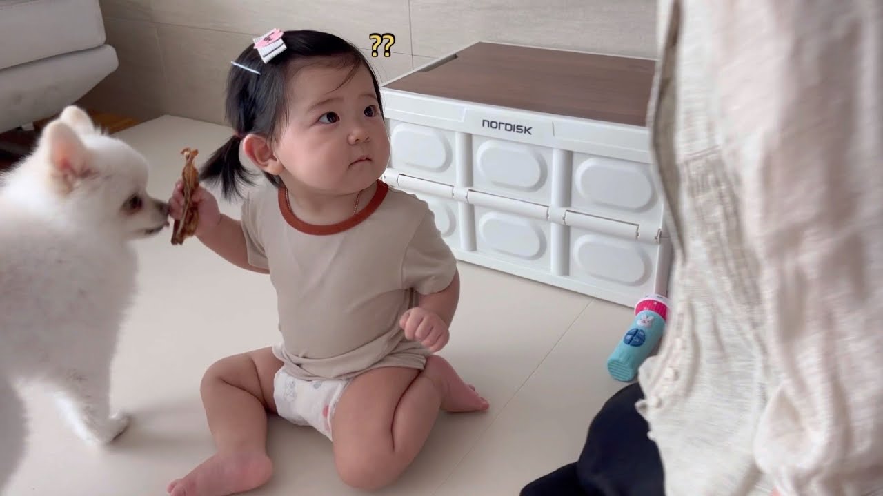 애개육아에서 변하지 않는 한가지