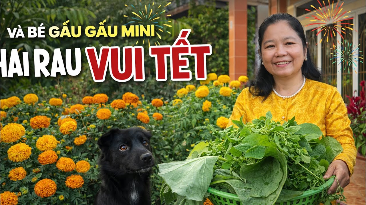 Kết thúc Tết với series hái rau và vui đùa cùng gấu gấu mini mini siêu vui 