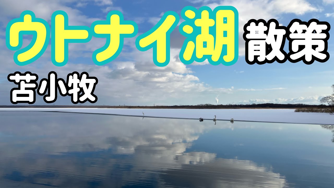 【苫小牧】雪道のウトナイ湖散策