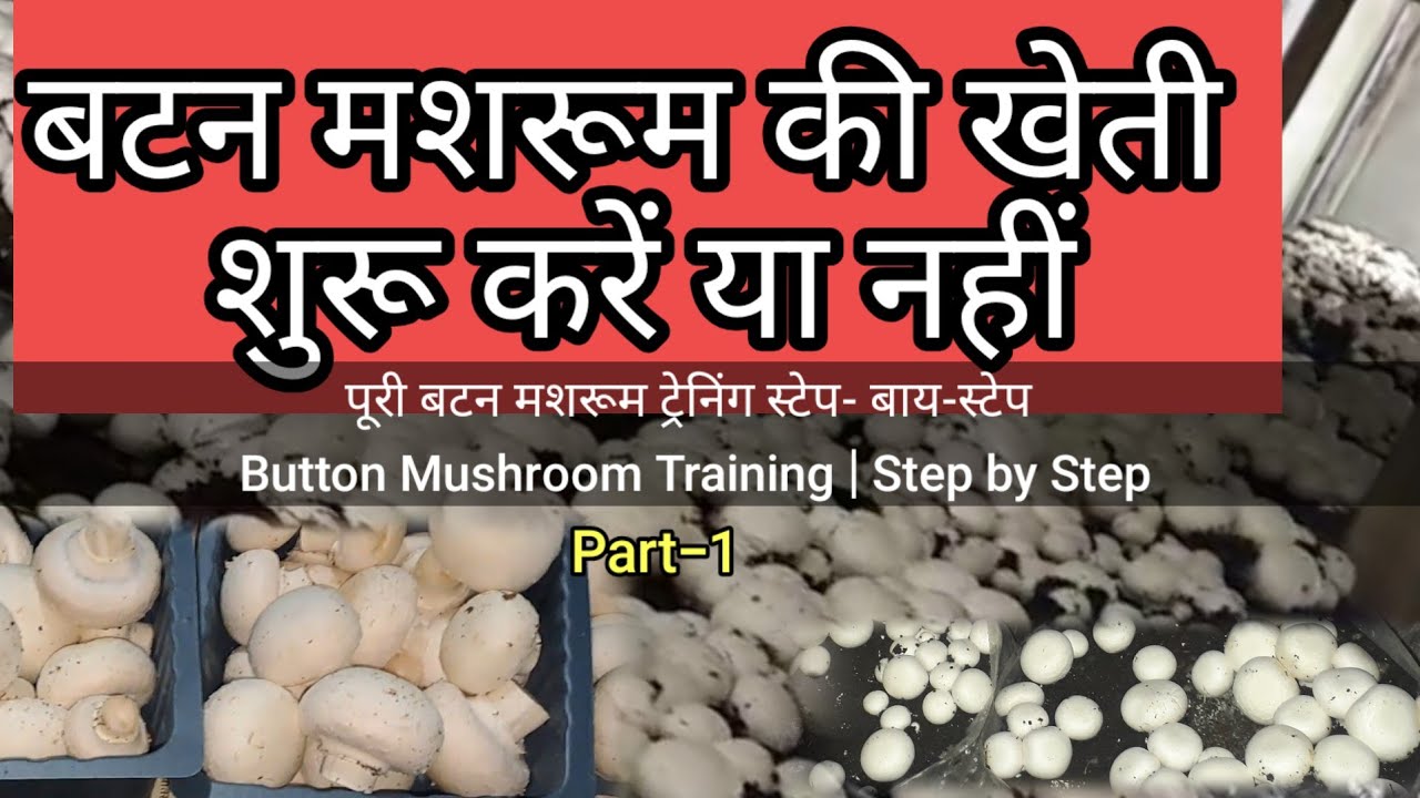 बटन मशरूम की खेती शुरू करें या नहीं? | Button Mushroom Training | Part-1