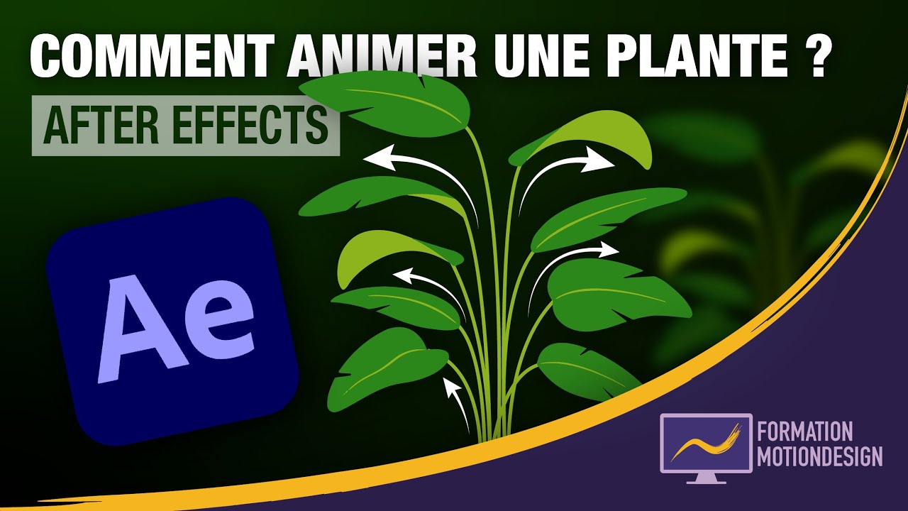 La meilleure façon d’animer une plante sur After Effects ! - Tuto plante After Effects