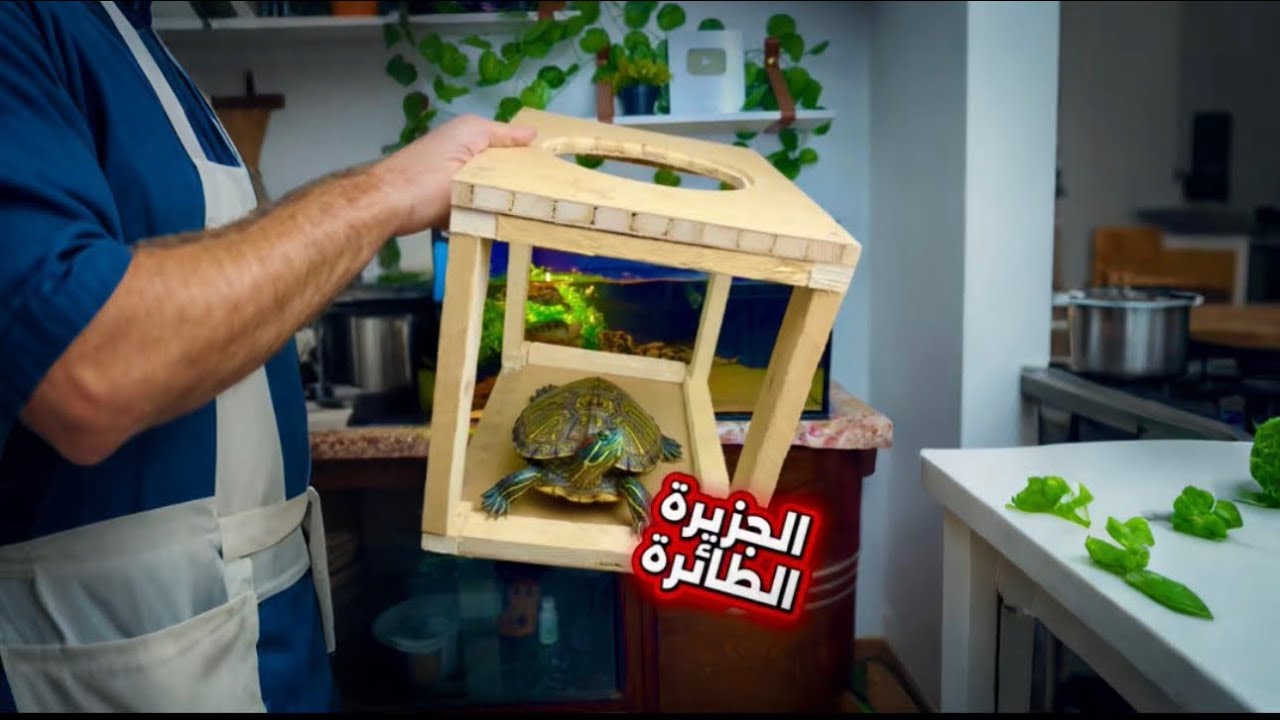 صندوق سعدية الأسود