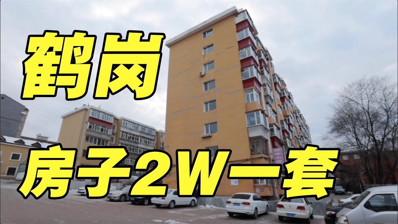 中国鹤岗,房价最低500元一平,租房不要钱