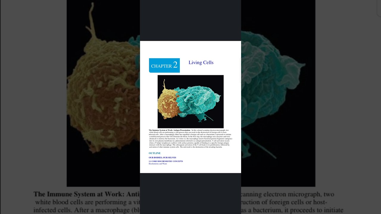 8. Biochemistry (Full Book of 1363 Pages - First 500 Pages) 