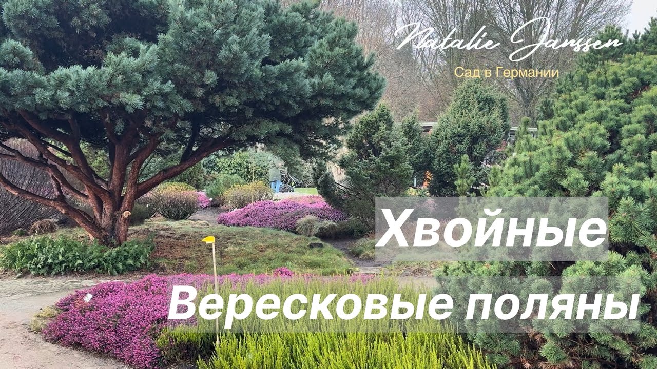 Большая прогулка по Парку Садов🌿 Часть 2..