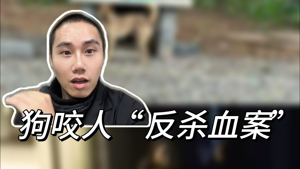 狗咬人&ldquo;反杀血案&rdquo;：狗咬人，人杀狗，人杀人！到底谁在撒谎？！