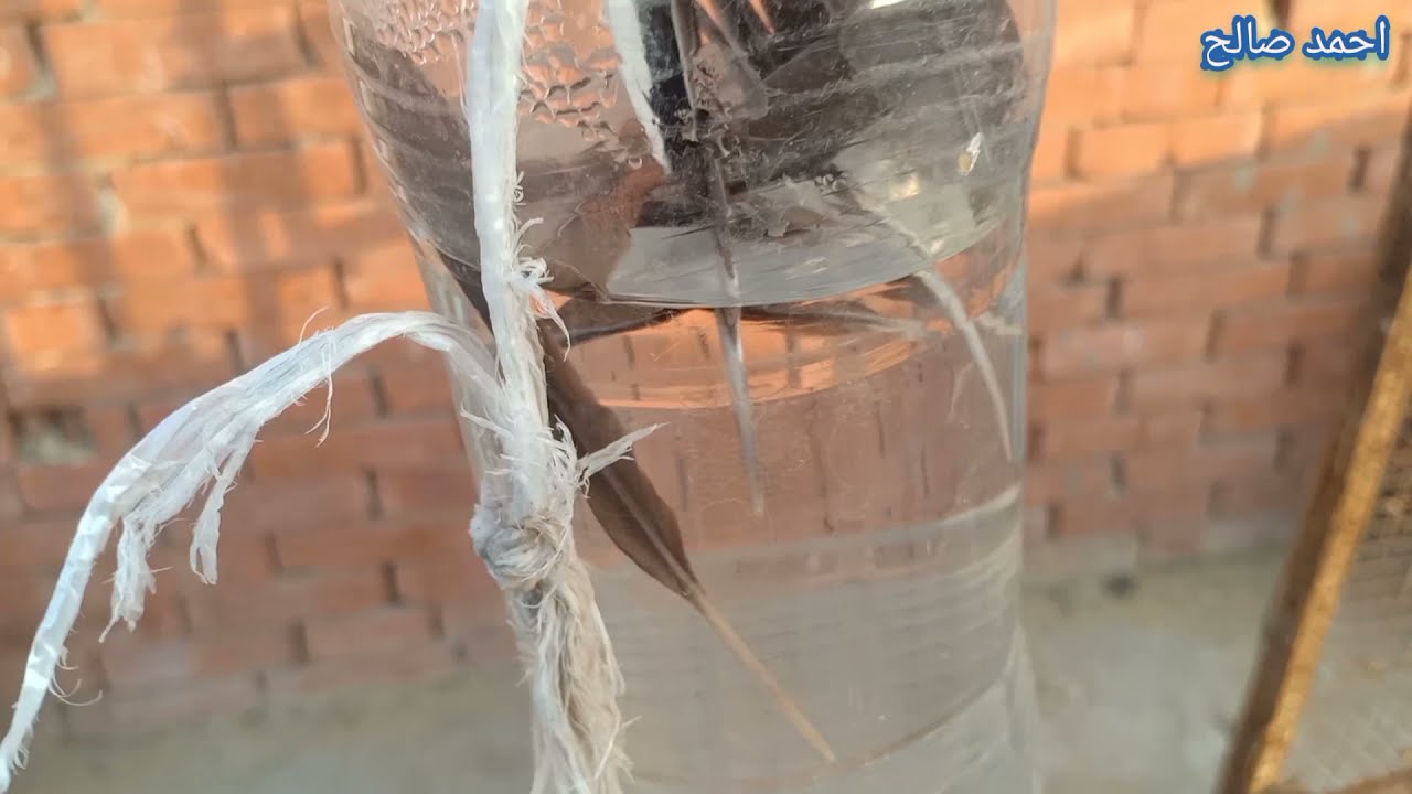 مصيده يمام ميزان بدون اى تكلفه