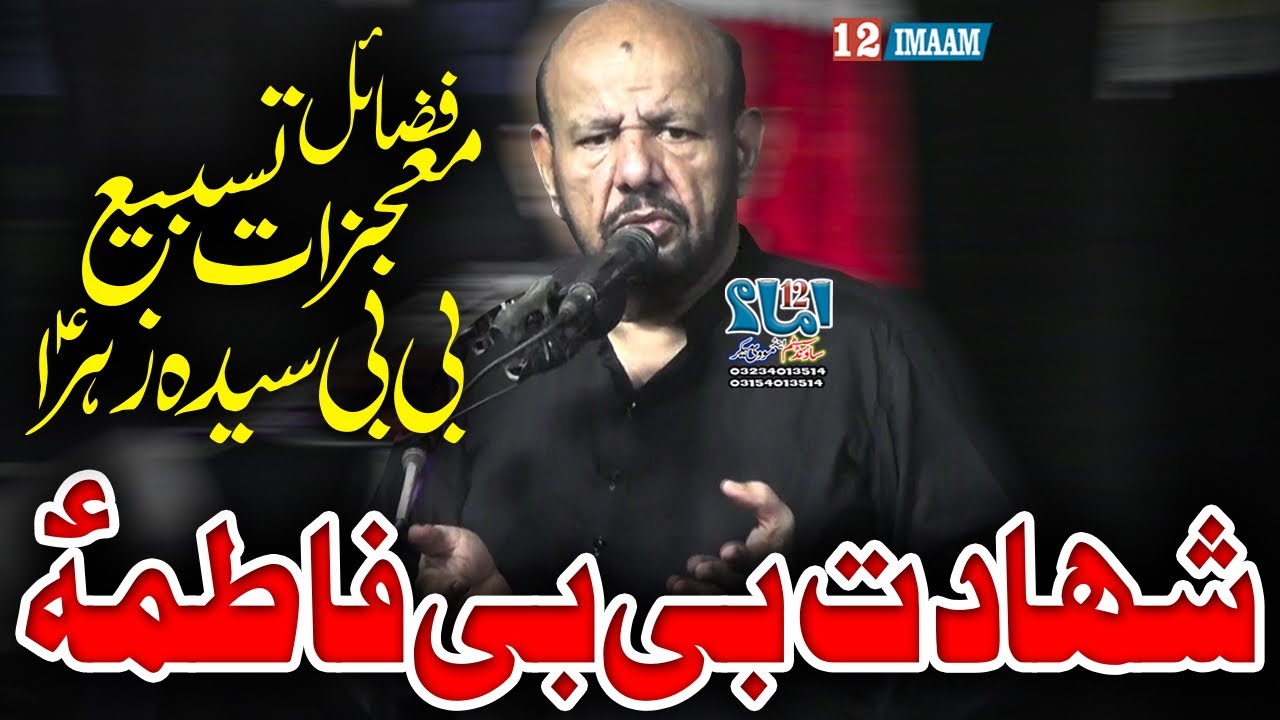 Zakir Ali Abbas Alvi | Majlis | Shahadat Bibi Fatima a.s