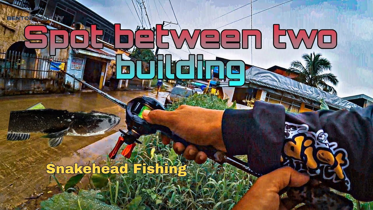 First fishing entry in 2023 #snakeheadfishingphilippines #urbanfishing