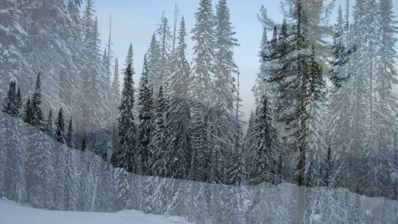 Тисульский район, п. Белогорск