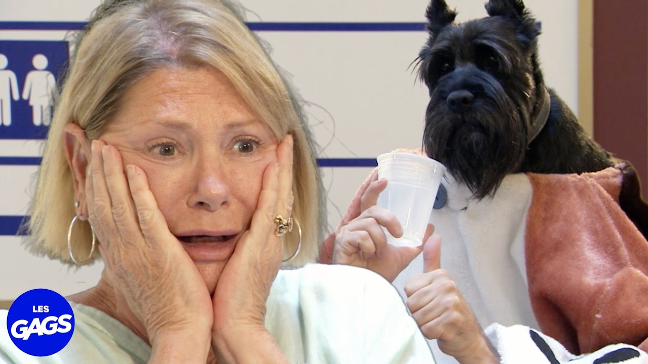 Il est tellement cuit | Juste Pour Rire Les Gags
