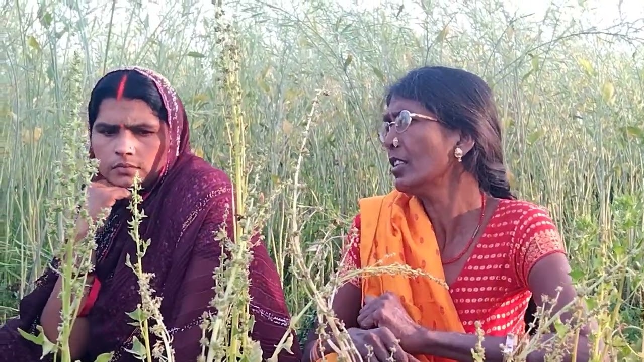 आज ससुइ मोर पलकी खातीर झगड़ा करथी हैं मोसे😛🤪😜 kusum blog 