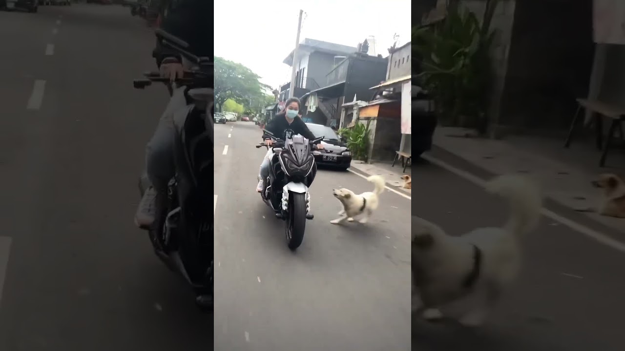 Kawasaki Z250FI