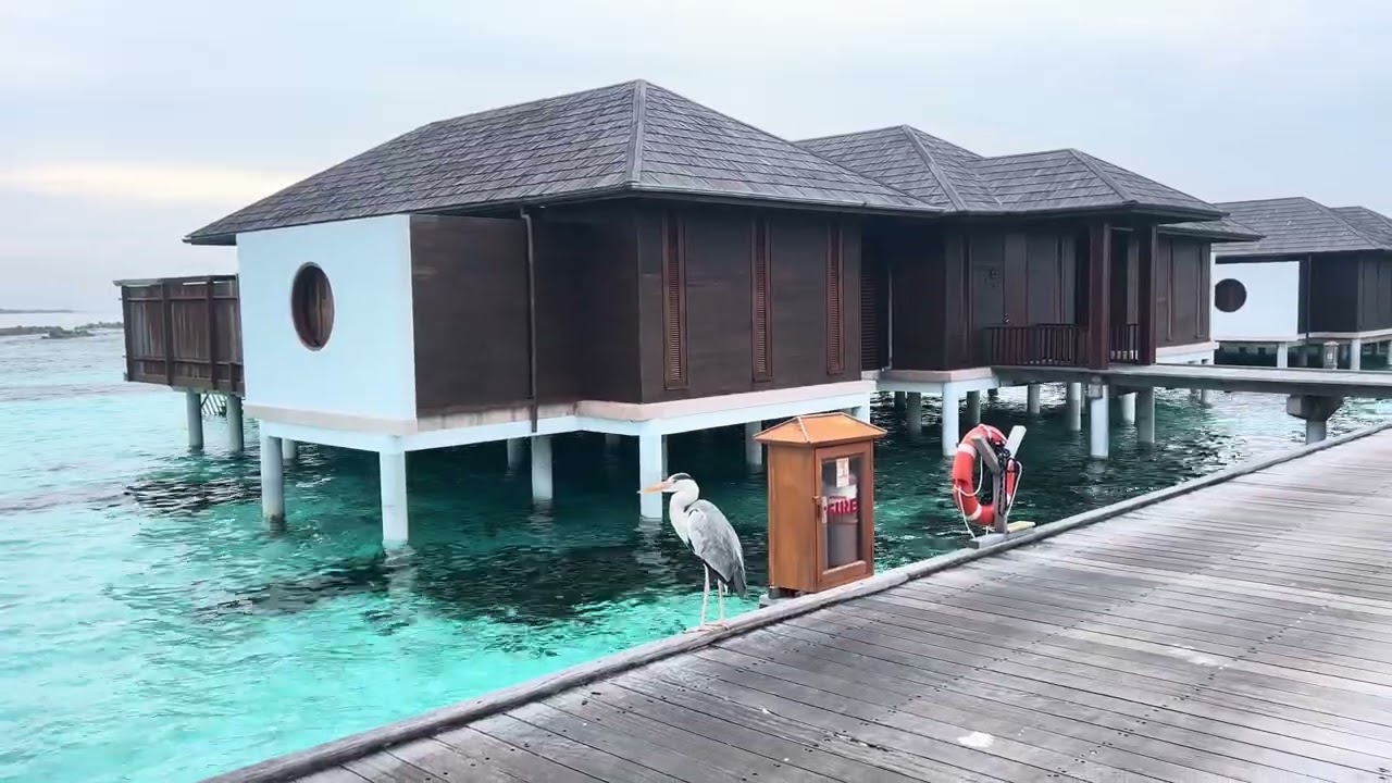 Maldives is a beautiful country with different island contact and book your room in hotel nautica ❤️