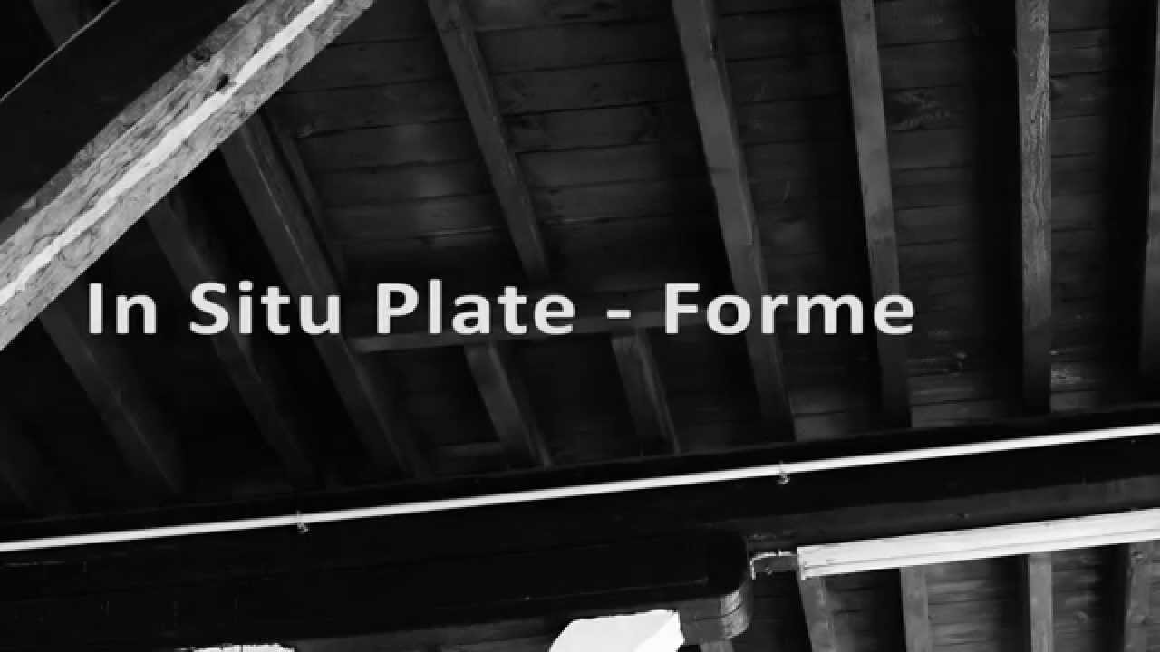 In Situ / Exposition