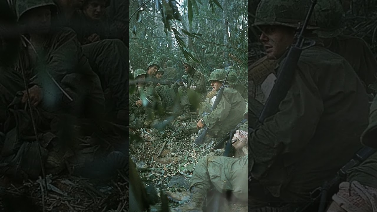 🌴 Battle of Dak To: Vietnam's Deadliest 🌴 #BattleOfDakTo #VietnamWar  #Hill875 #VietnamConflict