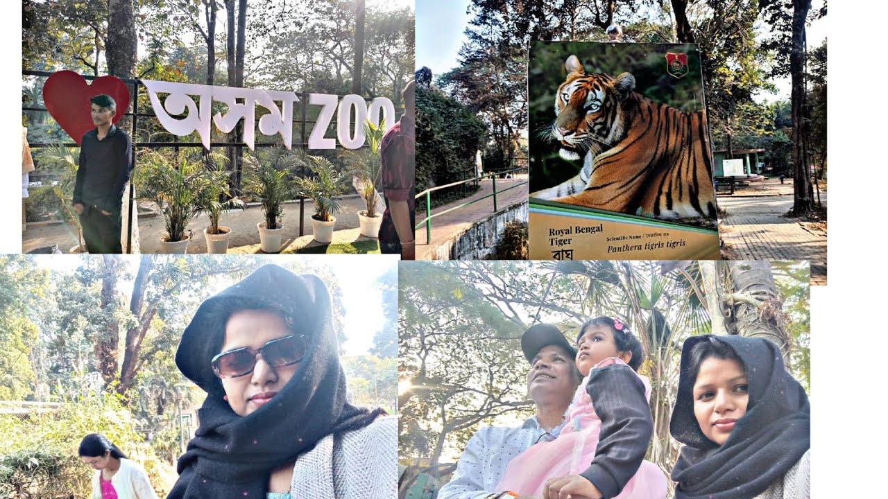 গুয়াহাটি চিরিয়াখানায় নতুন অভিজ্ঞতা গাড়িতে উঠে @zebin Sharmin's vlog 