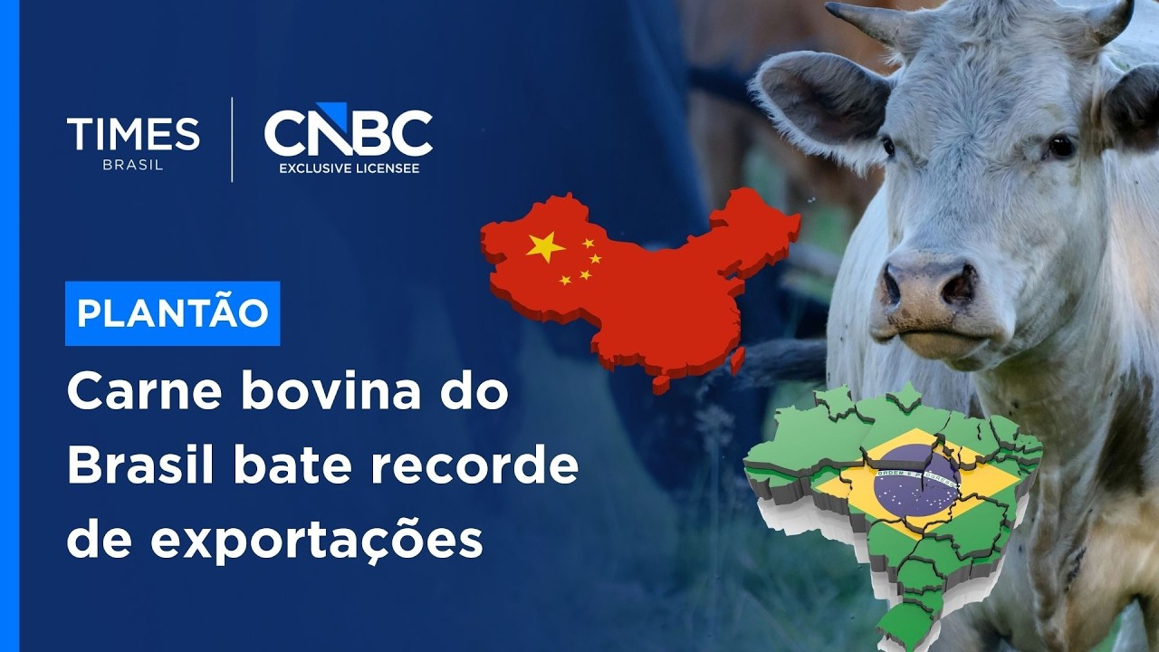 Exportação de carne bovina cresce 40% e China segue como maior compradora