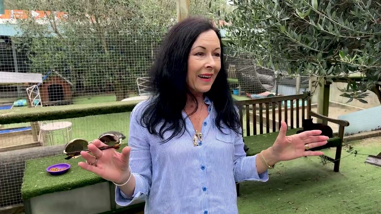 Guide To better Living Episode 4 NZ Cat Foundation With Anne Batley Burton