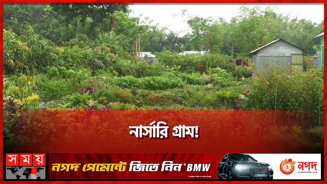 রপ্তানির স্বপ্ন উদ্যোক্তাদের | Nursery Village | Sherpur | Somoy TV