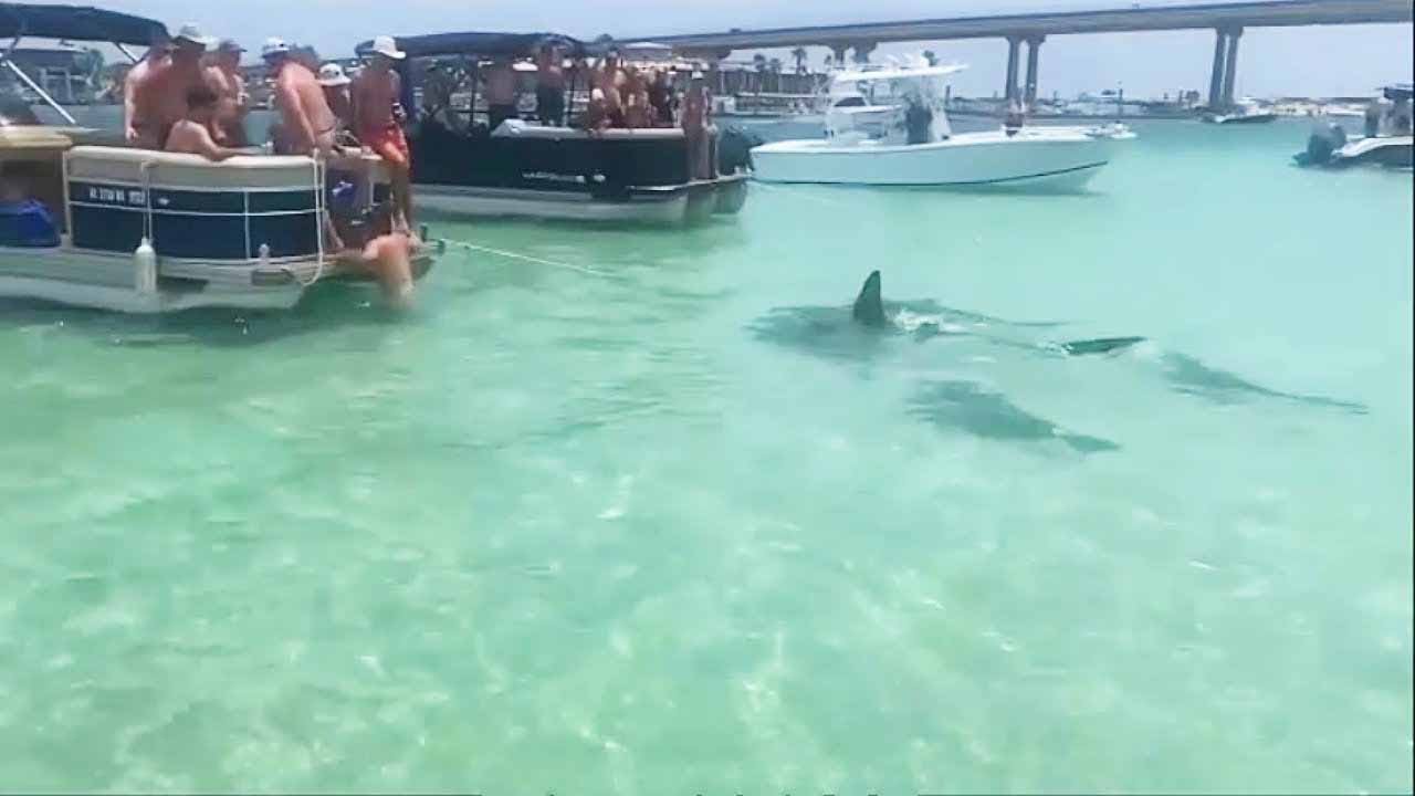 Boat Fails and Wins 2023