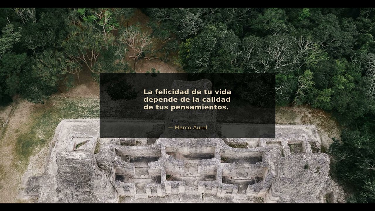 La felicidad de tu vida depende de la calidad de tus pensamientos. - Marco Aurelio | Disciplina Esto