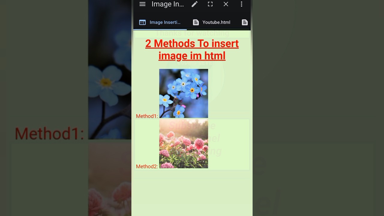 2 Methods to Insert Images in html #image #html #htmltutorial #beginners