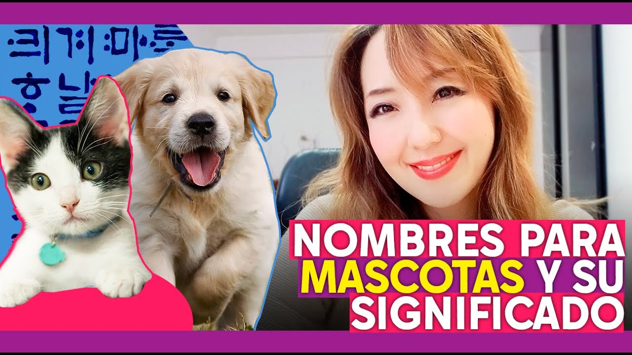 10 NOMBRES EN COREANO PARA 🐶 MASCOTAS 🐱: ¿CUÁL VAS A ELEGIR? - JiniChannel