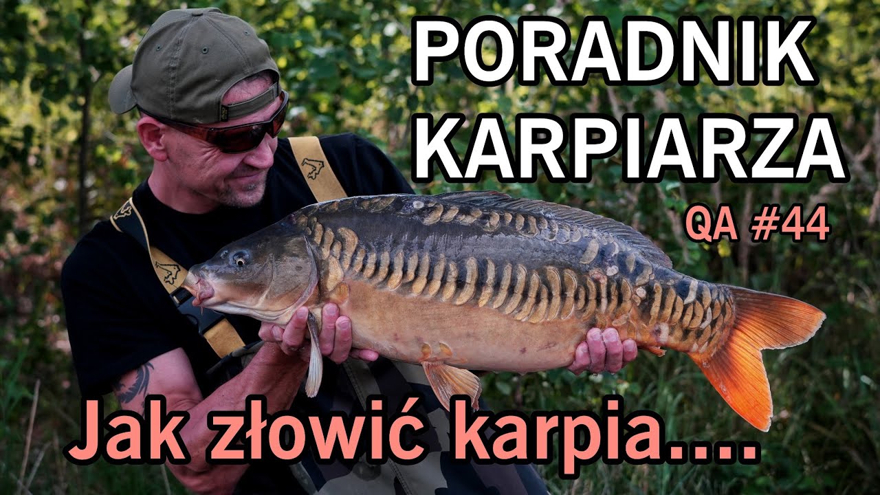 Jak złowić karpia - PORADNIK KARPIOWY - QA #44