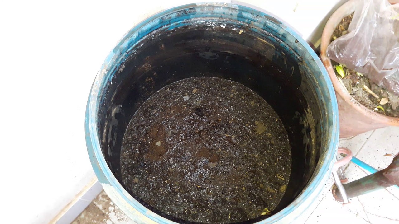 Easiest Way to Make Organic Liquid Fertilizer || पौधों के लिए ऑर्गेनिक लिक्विड खाद