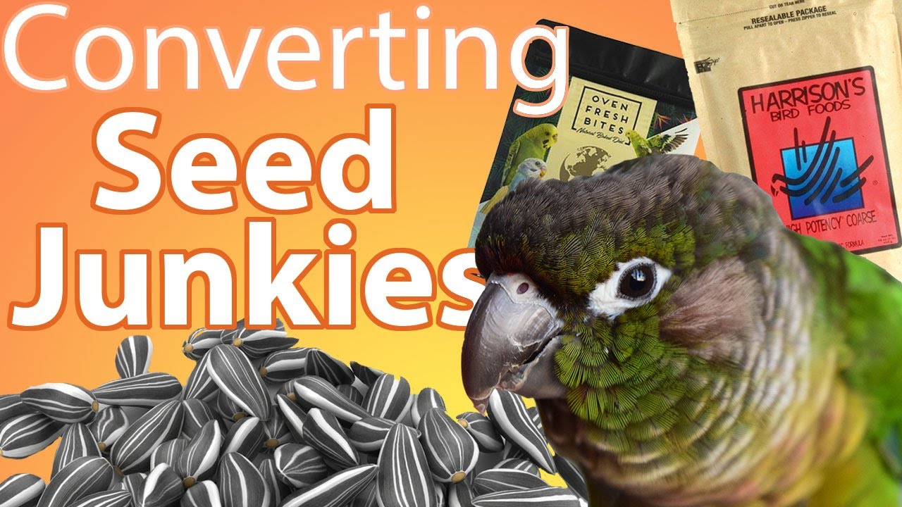Switching From Seed to Pellets? | Topics