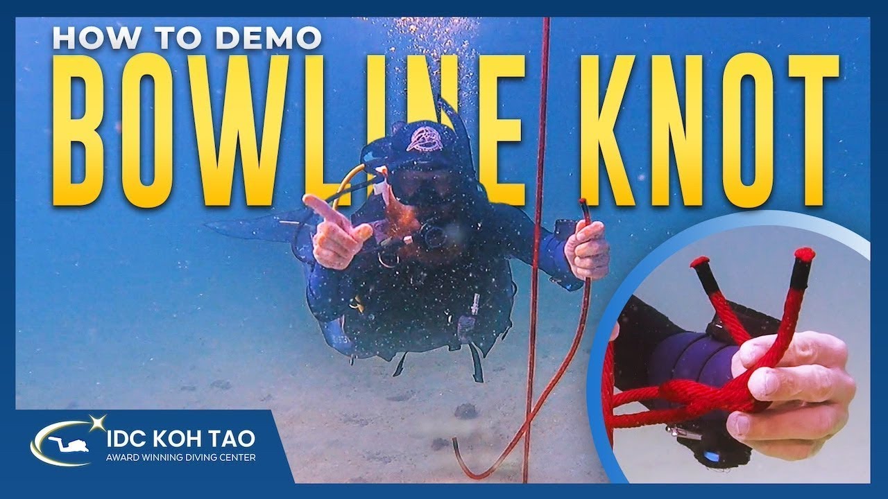 How to Demonstrate Tying the Bowline Knot 🤿 PADI Divemaster and IDC