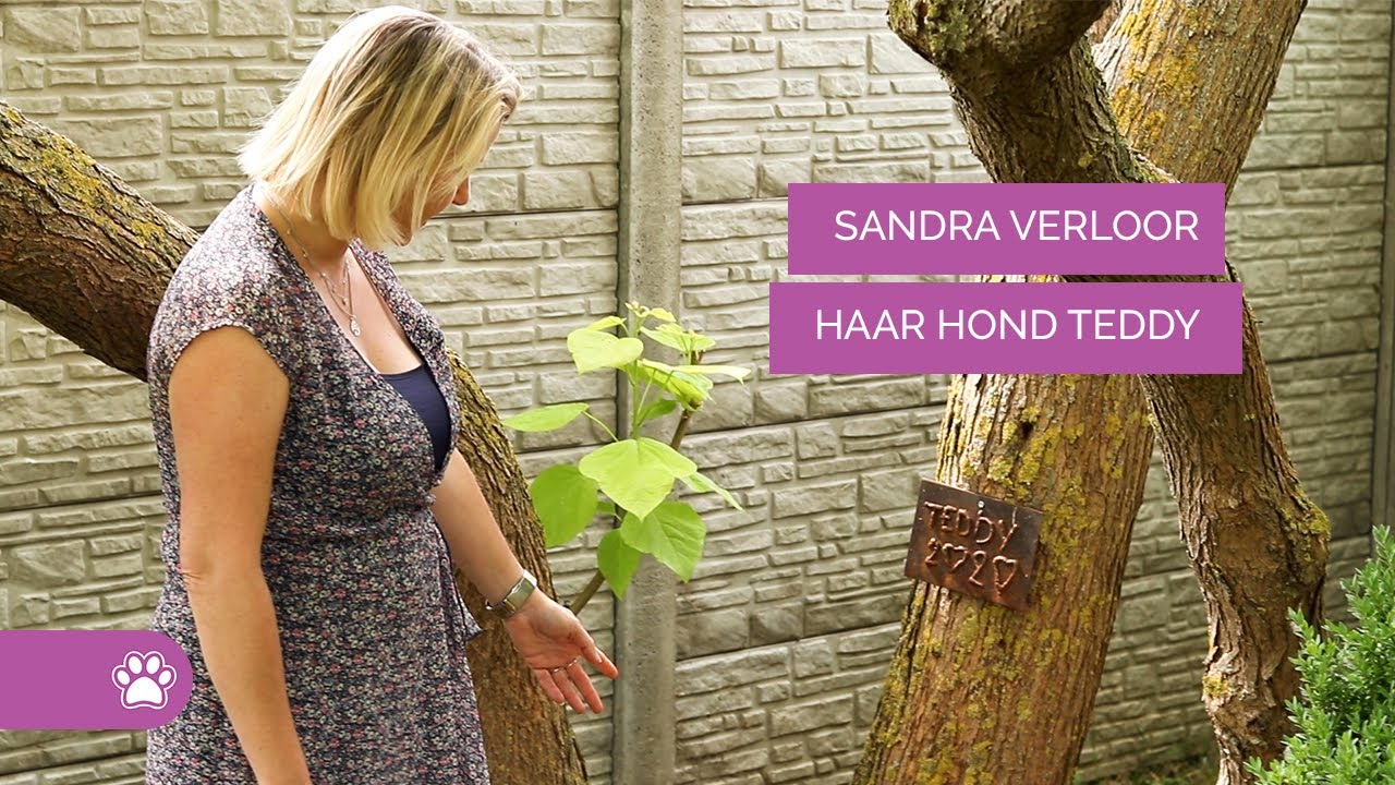 Afscheid nemen van je overleden hond - Rouw #1