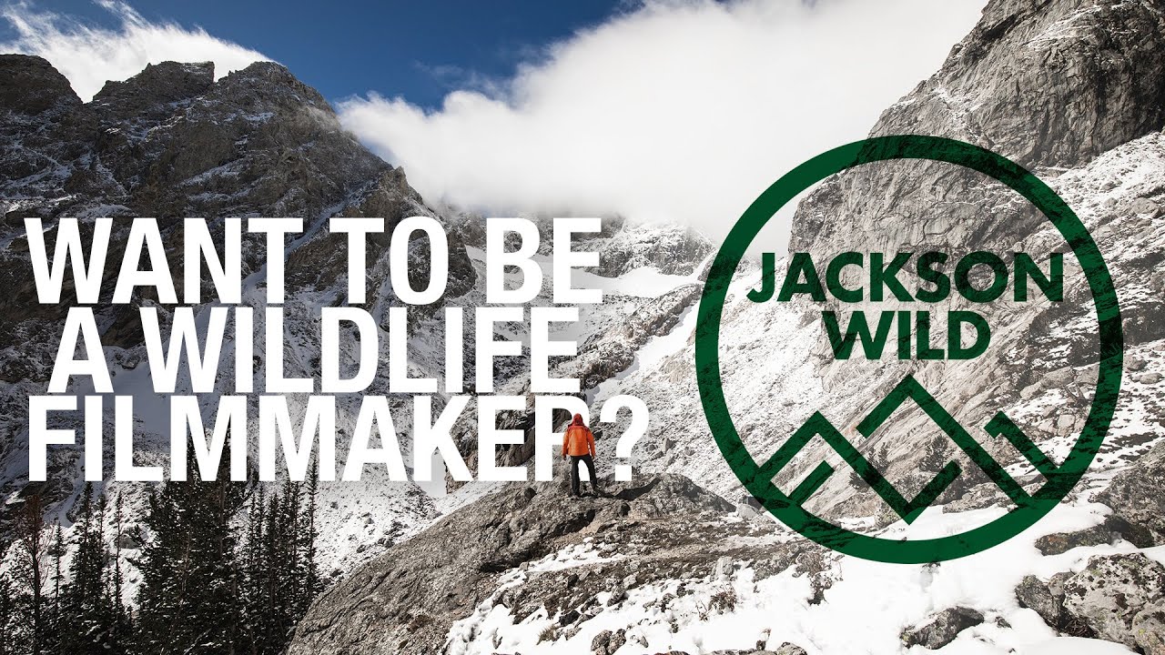 One week to learn all you need to become a wildlife filmmaker - Volunteer at Jackson Wild