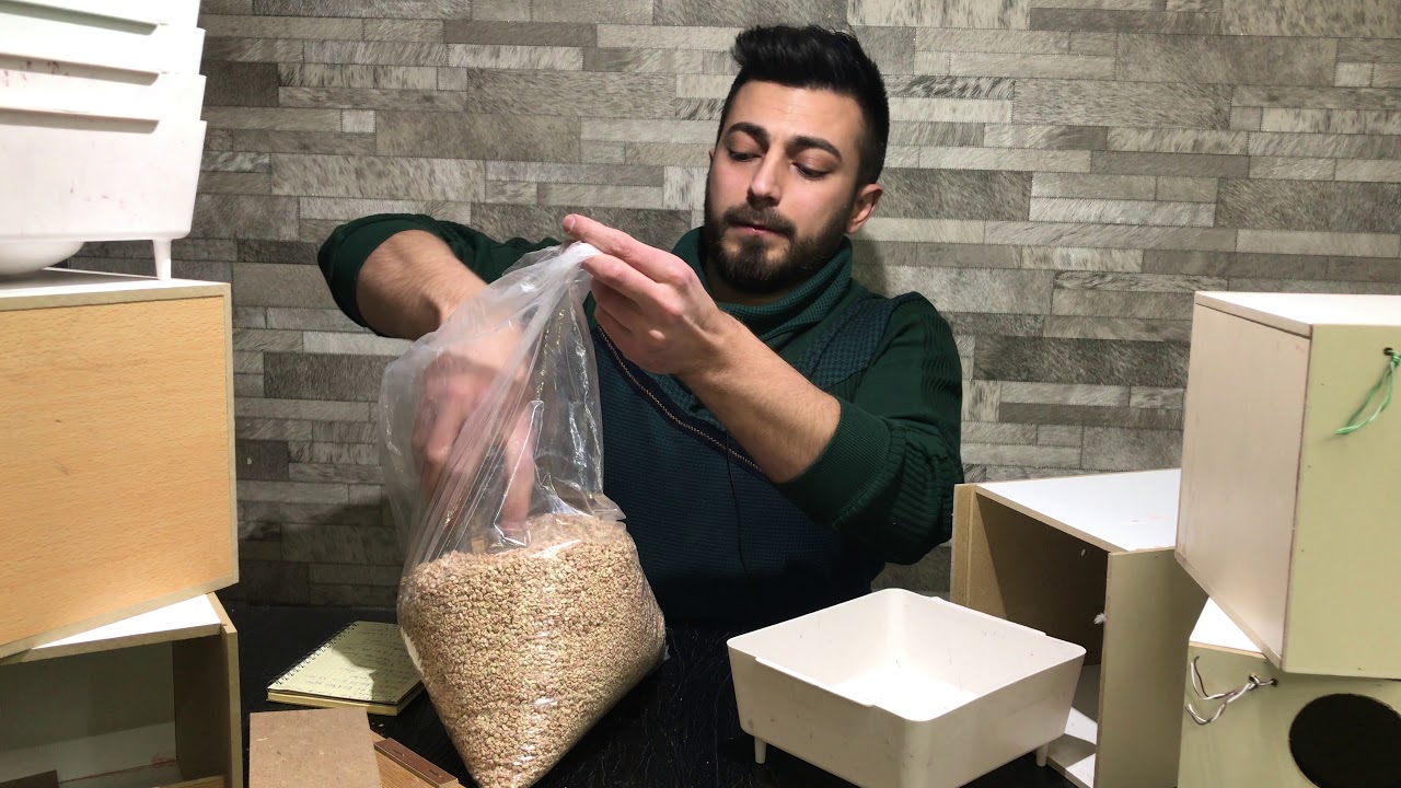 Muhabbet Kuşu Yuvalığı Nasıl Olmalı? How should the nest be
