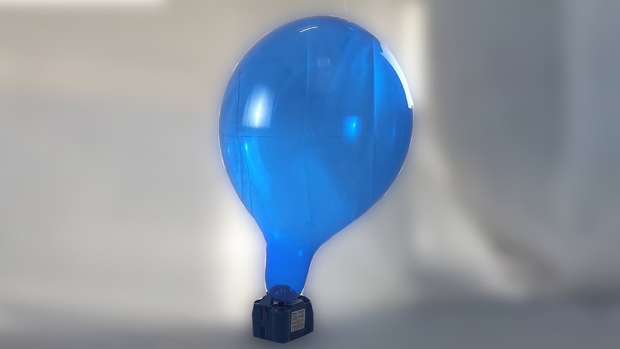 #106 BTP - long neck blue balloon blow to pop with shreds