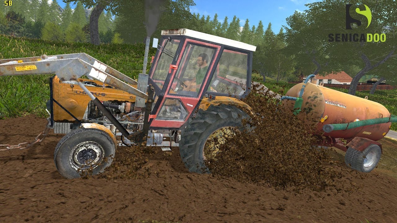 Polska - Pig work on small Polish farm