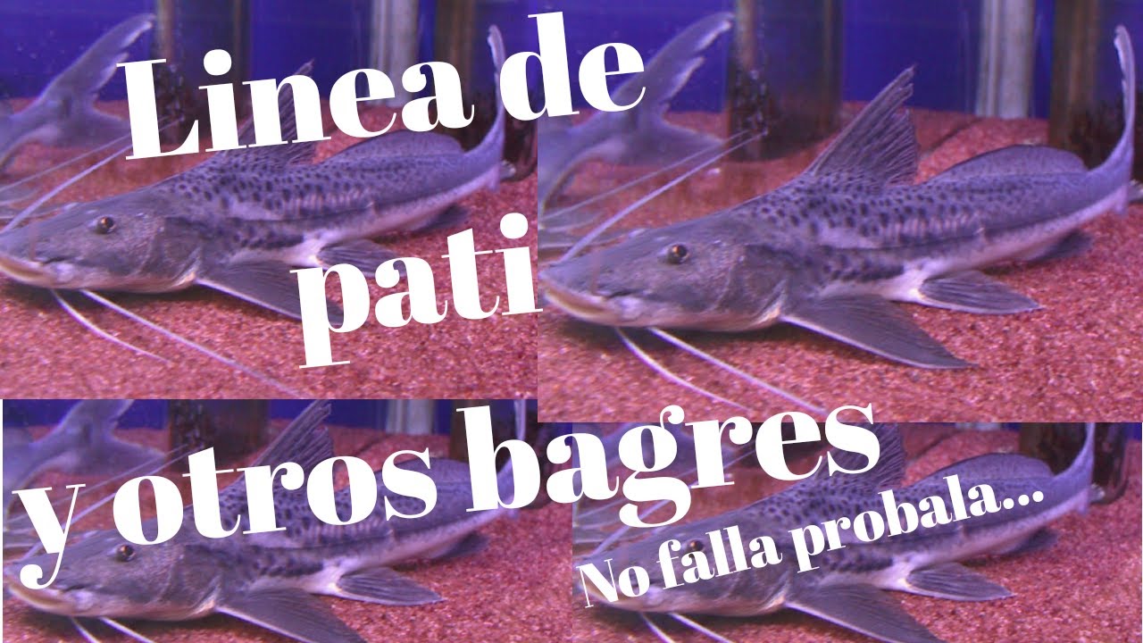 la mejor linea para el pati!!!! . no falla nunca  .muy practica y fácil de hacer