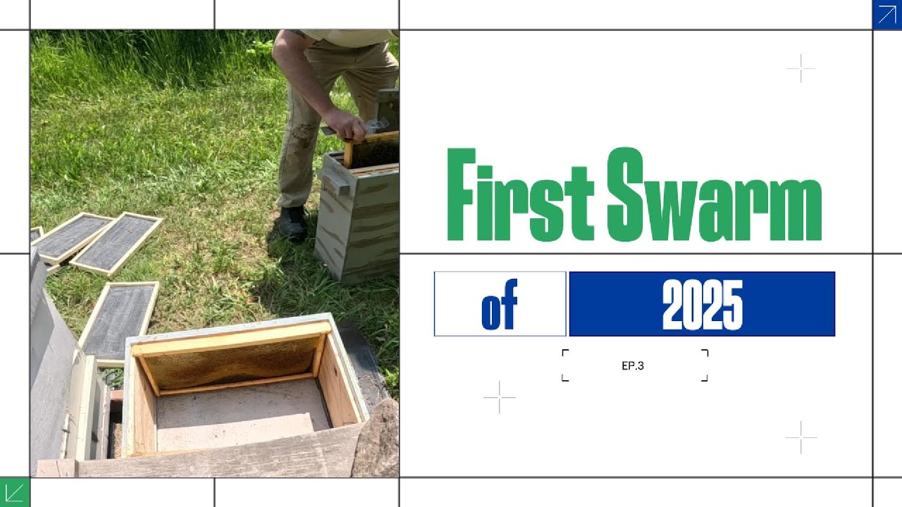 First swarm of 2025