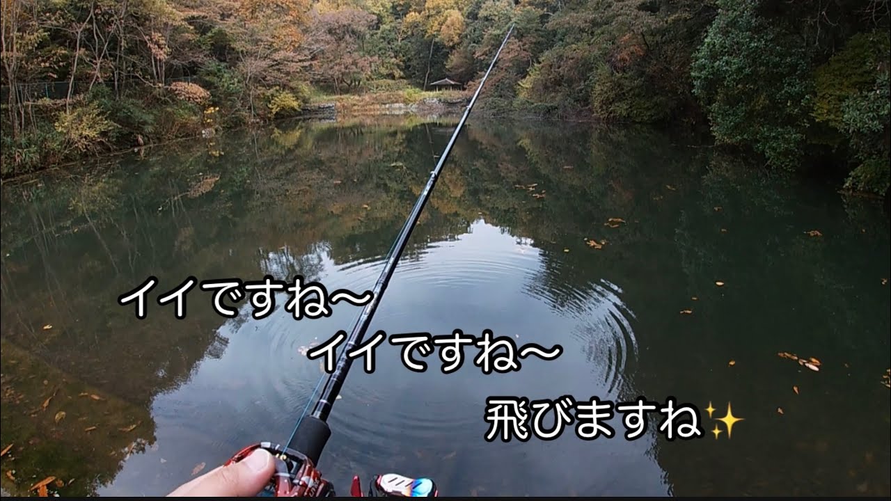 SV BOOST 1000  PE Special  も使ってみた！