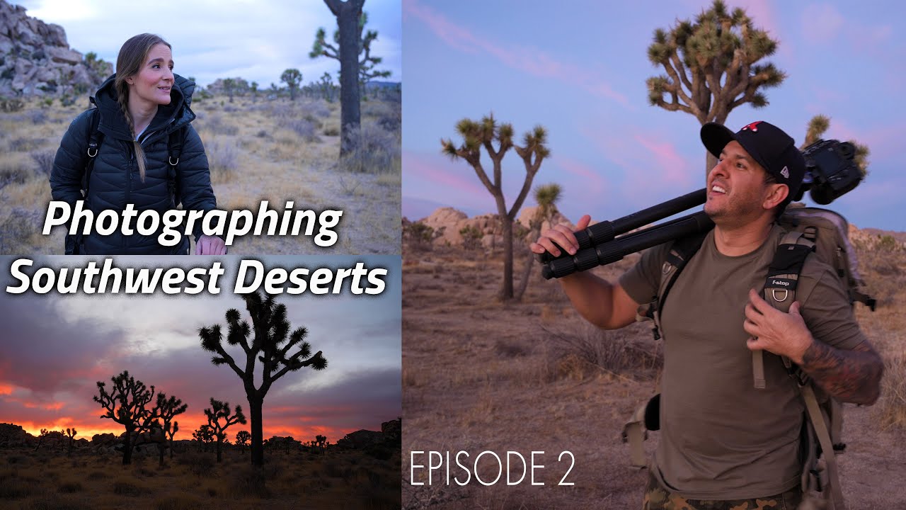 The MOJAVE Desert / Landscape Photography