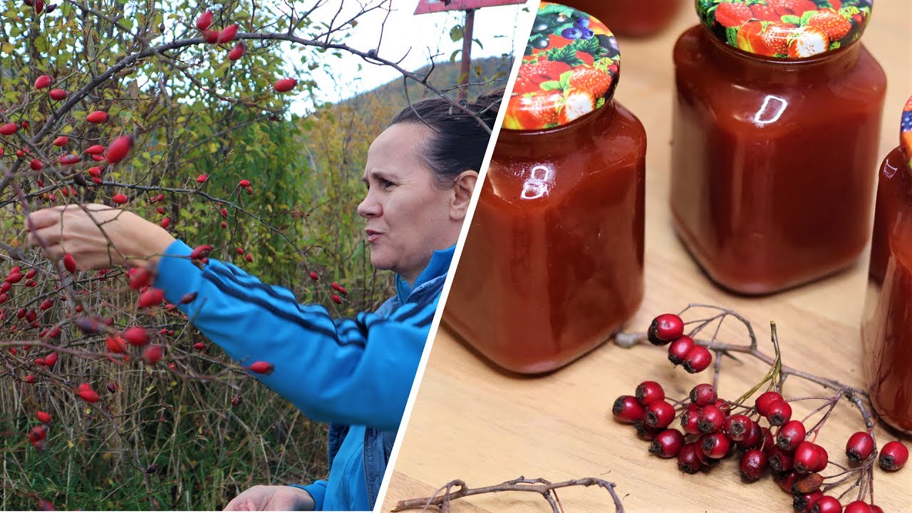 How to prepare  Rose hip -Rosa Canina paste in Transylvania region.