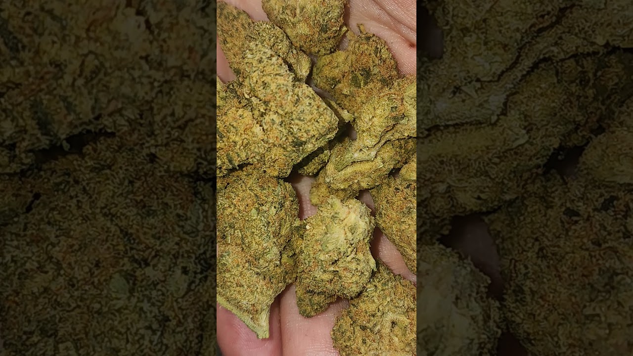Alien cookies #alien #fypシ゚ #cannabisheals #medical #cookies #berner #rap #beats #hiphop #dance