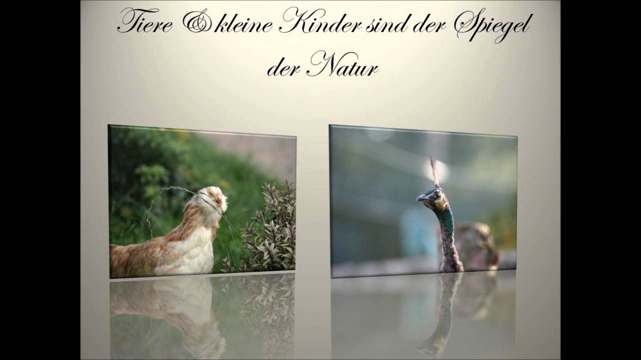 Ein Leben mit Tieren