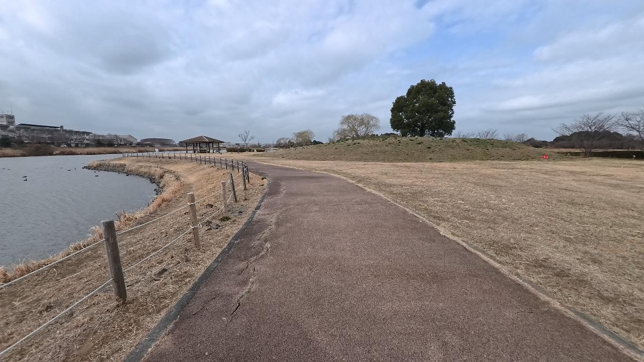 【鶴沼公園】を一周してみた （2026/02/24）