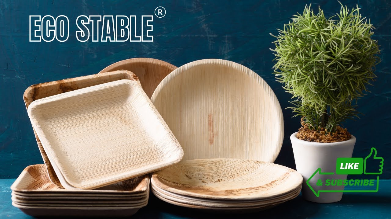 ECO STABLE&reg; - Palm Leaf Plates | Our Products | Eco Friendly Living