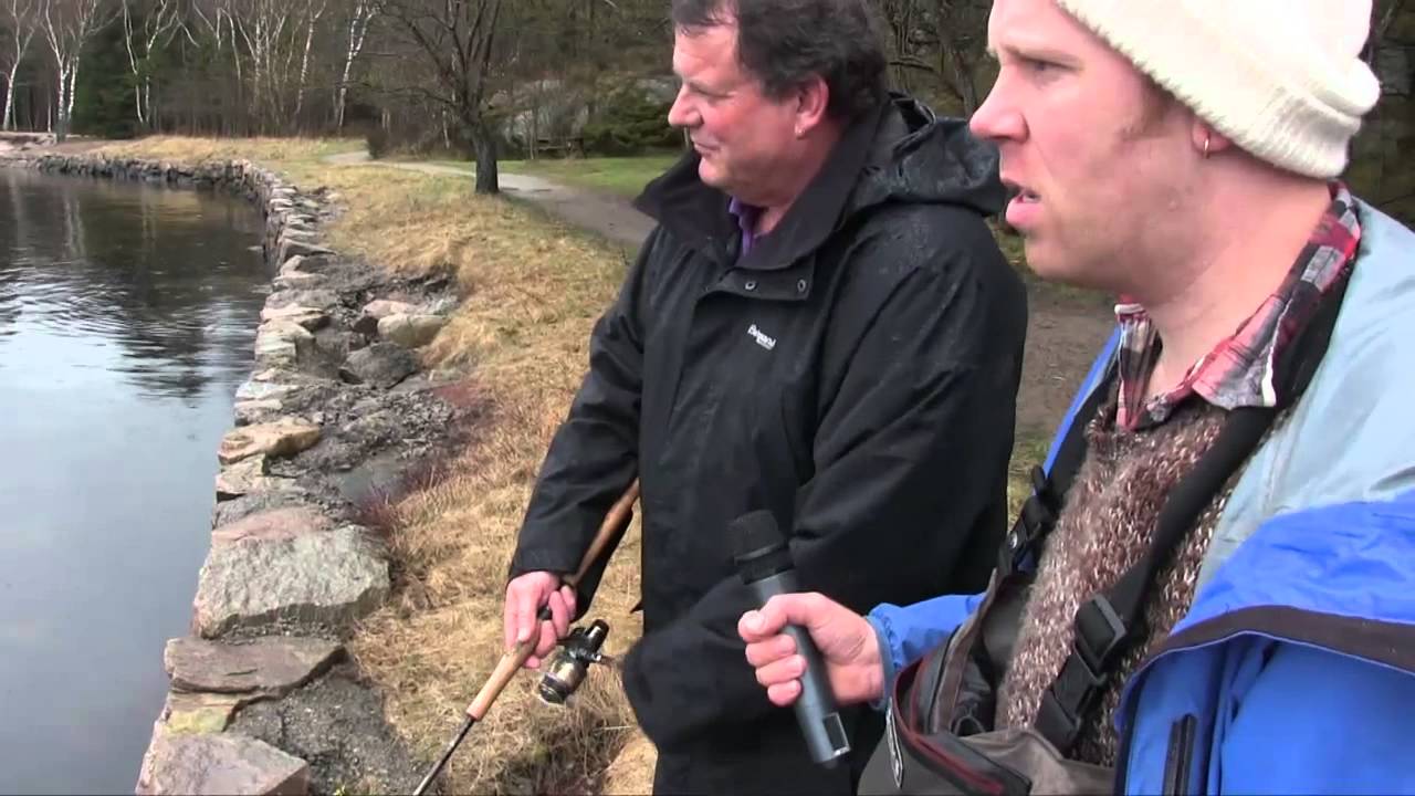 Sjøørretfiske i Mandal