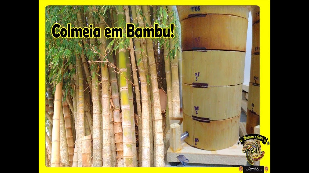 Como é Feito a Colmeia em Bambu do Criando Abelhas?!
